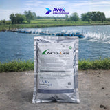 Microbiome Probiotics (Korea)