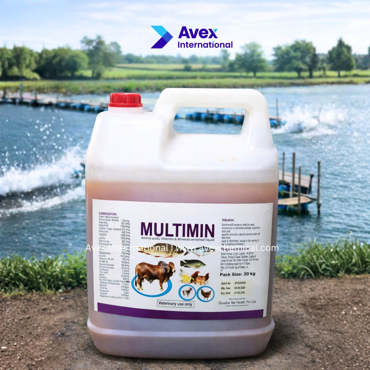 Multi-Vitamin (Holland)