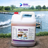 Multi-Vitamin (Holland)