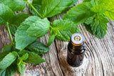 Spearmint Oil