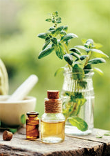 Spearmint Oil