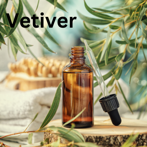Vetiver Oil