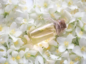 Jasmine Oil