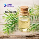 Tea Tree Oil